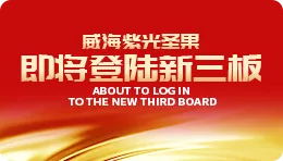 【搜狐】新闻速递|公海彩船6600圣果拿到“通关证书” ，即将登陆新