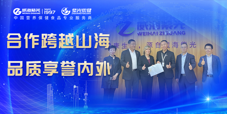 【互换合作】比利时法兰德斯中国商会携跨国企业代表团莅临公海彩船6600参观互换