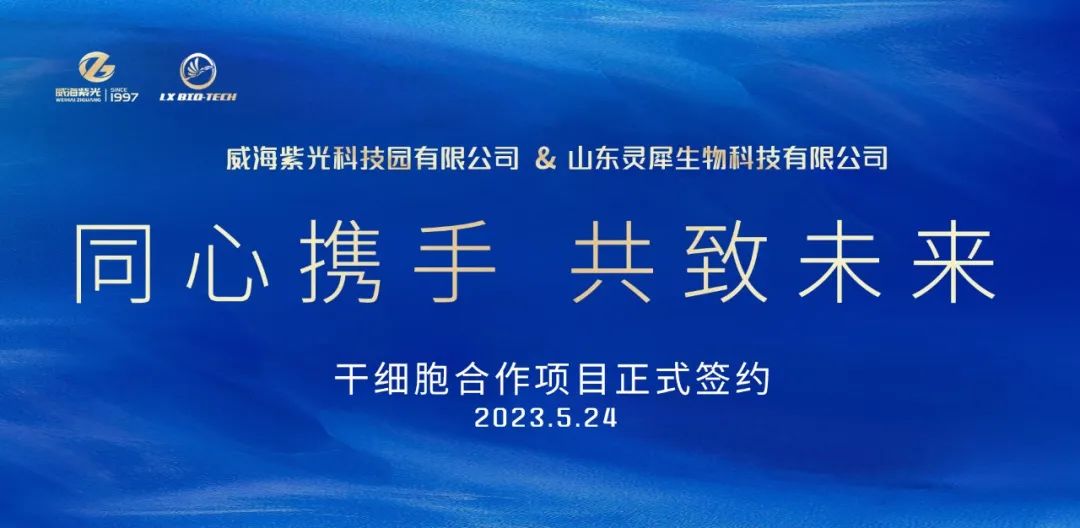 2-24052G43915P9