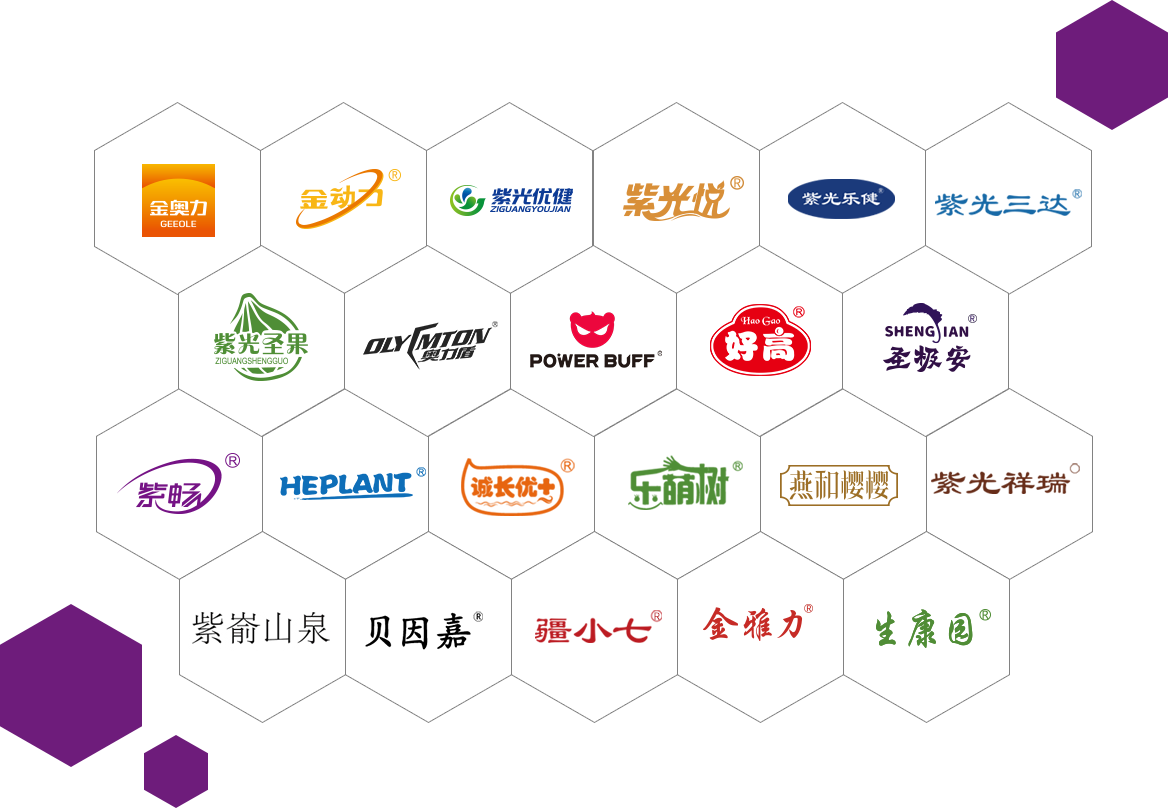 公海彩船6600(中国游)官方网站